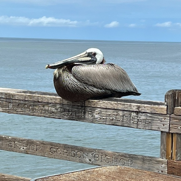 I’m an estate sale, flea market, antique mall and garage sale girl! - Picture 3 of 7